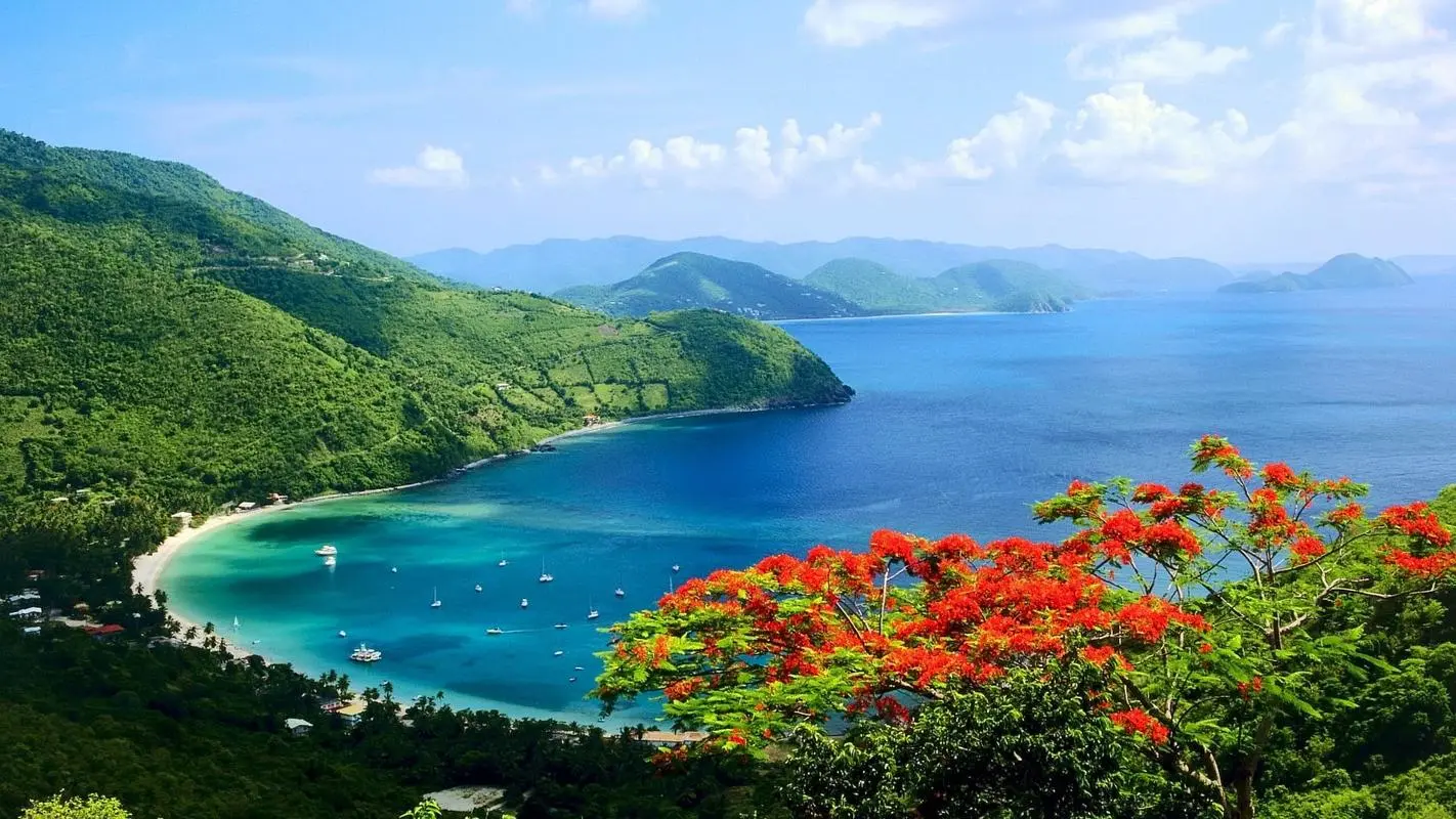 高效稳定性高端